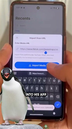 Absorb your videos in minutes.