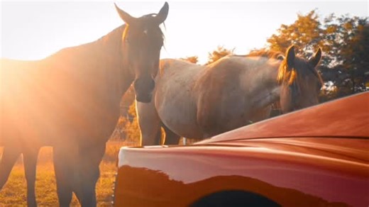 1988 Ferrari Testarossa 🐎 Now available at GKM.com Full listing: https://www.garagekeptmotors.com/used-vehicle-1988-ferrari-testarossa-c-3068/ | Garage Kept Motors LLC