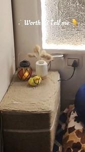 741K views · 6.1K reactions | Low Budget DIY That Looks Expensive | DIY Storage Basket #DIYProject #BestOutOfWaste #CardboardCraft #HomeDecorIdeas #StorageIdeas #DIYHomeDecor #LowBudgetDecor #HandmadeWithLove #CreativeIdeas #ReuseRecycle #HomeOrganization #DIYBasket #SatisfyingDIY #BeforeAfter | Soni Charak | Facebook