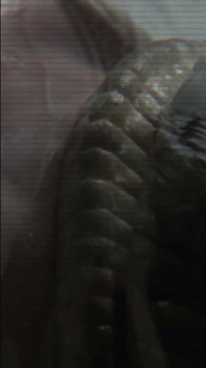 How Ridley Scott made Alien work #alienfranchise #movieanalysis #psychology