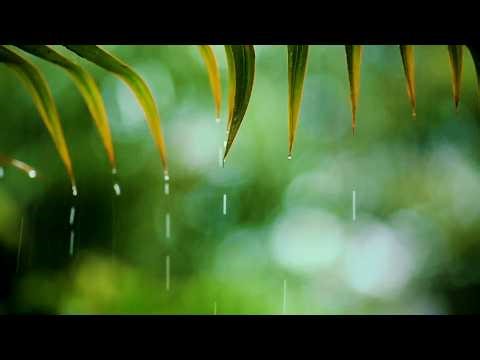 Relaxing Sleep Music with Rain Falling Outside the Warm Bedroom - Cozy Rain Night Relaxation