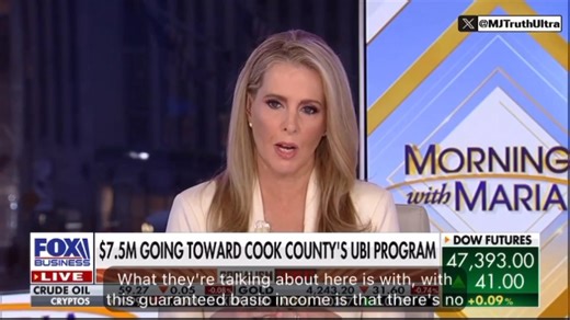 WOW… 😱 🚨Cook County Illinois launches a Universal Basic income Program where low-income households are Guaranteed Monthly Payment “no strings attached” (An added extension to welfare)— All Paid for by Taxpayers. Great incentive to get people to want to sit in their arses & do nothing & allow hard working taxpayers to pay their way. 😡 | Elizabeth Bell