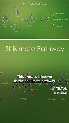 The Monsanto Cover-Up Explained