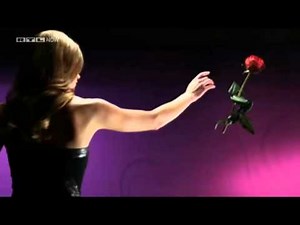 01 INTRO THE BACHELOR