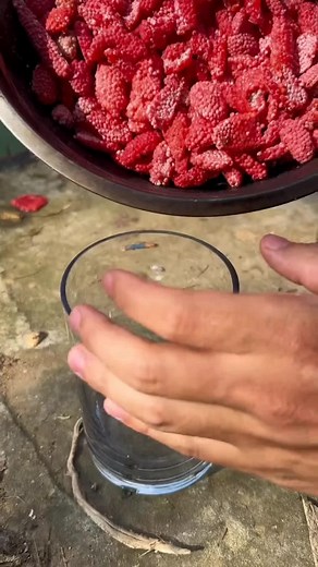 Satisfying Snail Egg Crushing ASMR Trends Worldwide