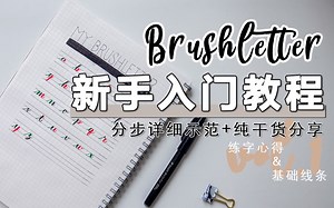 【Brushletter萌新入门教程】纯干货详细示范/基础线条 练字心得分享/新手入坑/Bulletjournal必备字体/Bujo手帐常用手写英文花体字