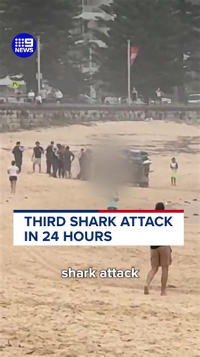 Critical Shark Attack at Manly Beach
