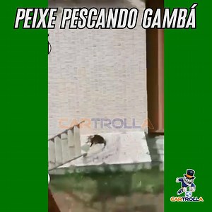 Gambá na vara | Cartrola
