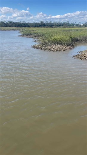 Mark Robinson on Reels