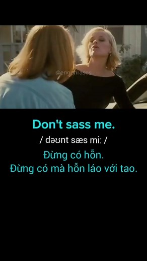 Understanding the Meaning of 'Sass' in English Language