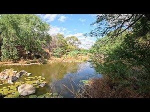 THE CAATINGA IS NOT JUST DRY: SEE THE LIFE IT HIDES