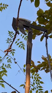 DIY Bush Cutter Idea — Simple but Powerful! #diy #tools #ideas | Innovation Time