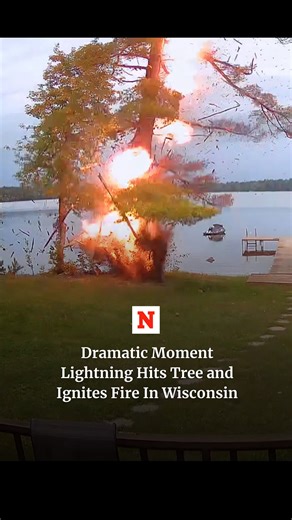 A bolt of lightning struck a tree on a property, sending bits of bark and other debris flying through the air and setting the tree on fire. | Newsweek