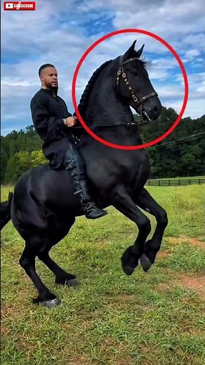 These horses are considered the most beautiful on the planet 😍🐴🐴♥️ #animals #horses #horse #shorts
