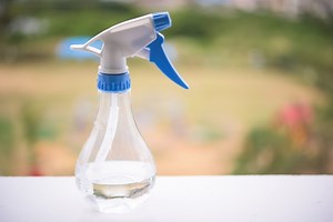 虫除けハーブスプレーの作り方！超簡単で効果バツグンのハーブ液の作り方とは？ | ハーブティーいろは