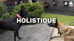 🤩 On compte sur vous pour être nombreux à visionner notre nouvelle vidéo ce Dimanche 02/06 à 18H sur YouTube GUN DOG TV 🚨🎥 | La Méthode Gun