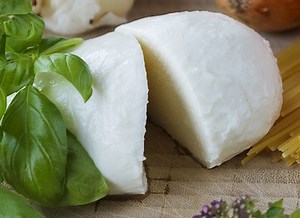 How To Make Mozzarella Cheese At Home | Curd Nerd