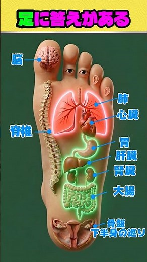 足に答えがある！全身のツボまとめ #足裏 #健康 #セルフケア #リラクゼーション #体調管理 #健康習慣