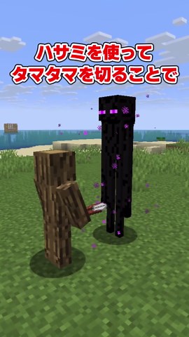 エンダーマンの金○玉#マイクラ #ゆっくり実況 #minecraft #マイクラMOD