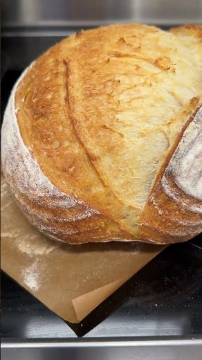 4 Steps to Sourdough Oven Spring, Open Crumb, and a Big Belly #sourdoughbread #sourdoughstarter