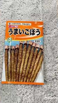 【家庭菜園】ごぼう！家庭菜園やってみる💪♯初心者♯家庭菜園♯ごぼう！ごぼう栽培♯手作り♯プランター♯牛乳パック