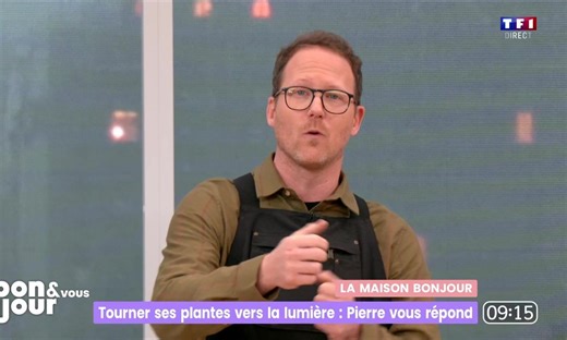 La maison Bonjour : Échalotes, comment les cultiver ?