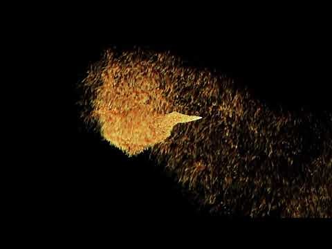 ✨ Moving Gold Particles Animation | Elegant Gold Dust Motion Graphics for Stunning Visual Effects
