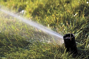 Landscape Logic: Protect your sprinkler system