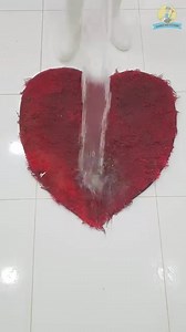 Cleaning satisfying dirty furry carpet #asmrcleaningvideo #cleaning | Magnus Rug Cleaning