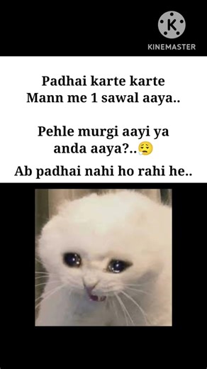 Padhte padhte dimaag ne aukaat dikha di 💀🐔🥚 #shorts #memes #funny #joker