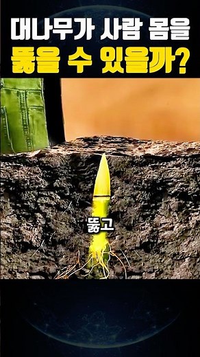 Can Bamboo Really Pierce Through a Human Body? Shocking Experiment Results