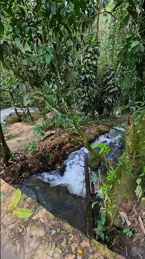 I'm at the waterfall with the bride's beautiful veil