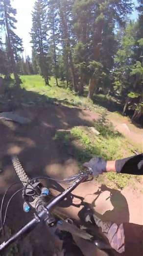 Rock Chuck - Brighton, UT #mtb #downhill #brighton