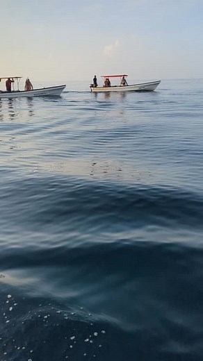 ZANZIBAR  summer time ⭐✨ dolphins snorkeling 錄 suggested 﫴 | Khamis Sms | Facebook