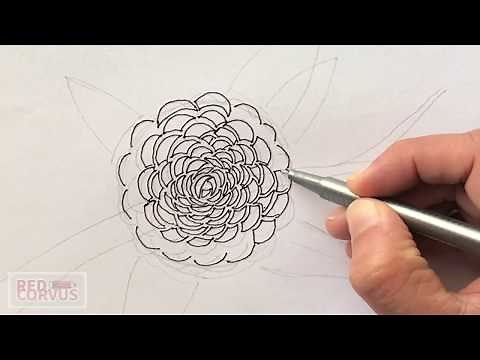Easy Sketching: Camellia Flower