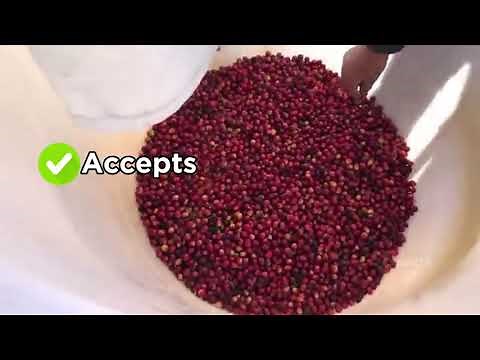 How AI-Powered Sorting Is Transforming Coffee Post-Harvest Operations