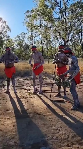 Ceremonial Aboriginal dance. * * #australian #ancestors #aboriginaltiktok #aboriginalaustralia #aboriginal #aboriginalart #africanaustralian #dignity #proudlyblack #gods #melanin #danceofthegods #nigeriantiktok #ghanatiktok #benintiktok🇧🇯 #Queensland #northernterritory #Perth #Sydney #regionalaustralia #weareone #ancestorschallenge