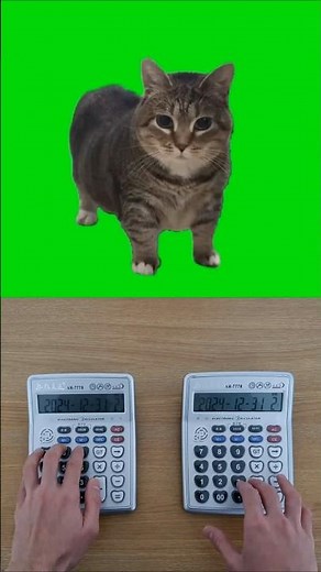 OIIA OIIA CAT (calculator cover) #oiiaoiia
