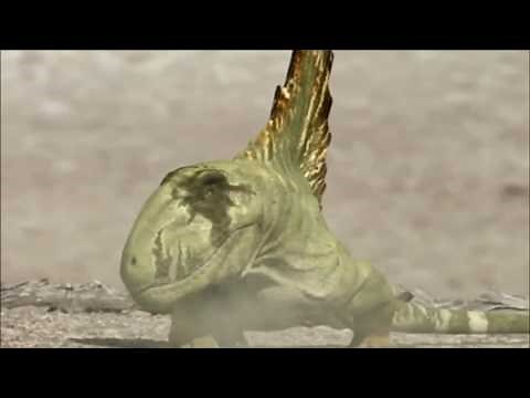 Walking with Monsters - Dimetrodon Chase