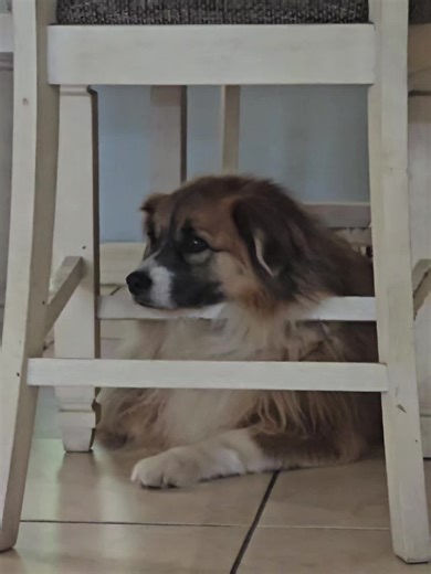 Glorimar Arce on TikTok