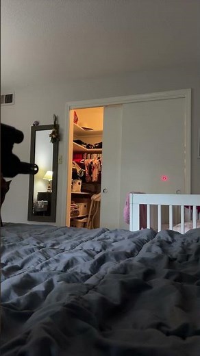 American Tactical Alpha Maxx .300 blk arp