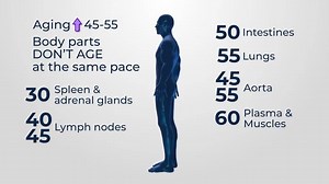 The New Age of Aging: When Does Aging Really Start