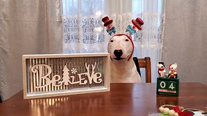 34K views · 4.2K reactions | Day 3, repeat day 3 Cookie Hostage...