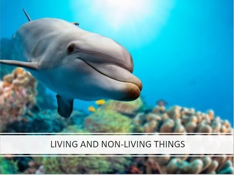 Living and Non living things for kids2021|Grade1 Science |Characteristics of living things