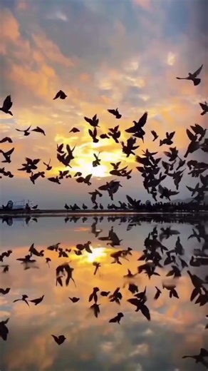 Lydia👑Lydi👑 (@lydiagogoo)’s videos with She's Like the Wind (Dancing Baby Mix) - Calvins Smith