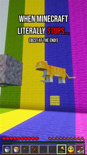 When Minecraft literally STOPS... 🛑