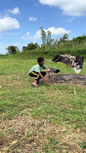 Amazing Eagle Landing Control