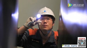 Wartsila 14 RT flex 96C 船舶主机