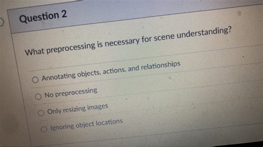 What preprocessing is necessary for scene understanding?  A. An... | Filo