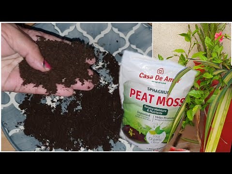 What is Peat Moss? - Use of Peat Moss in Gardening / Benefit of Peat Moss in Gardening